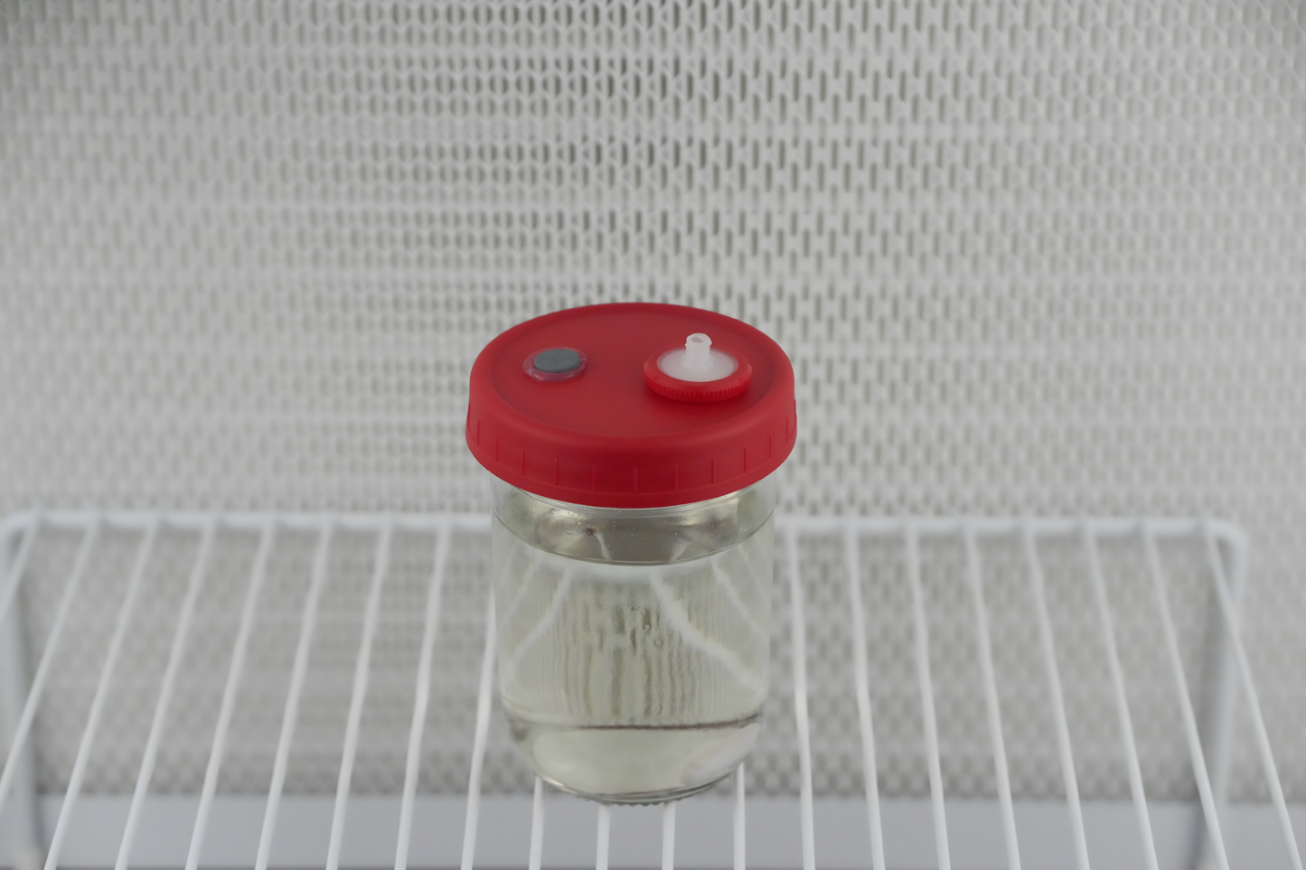 300ml Liquid Culture Base