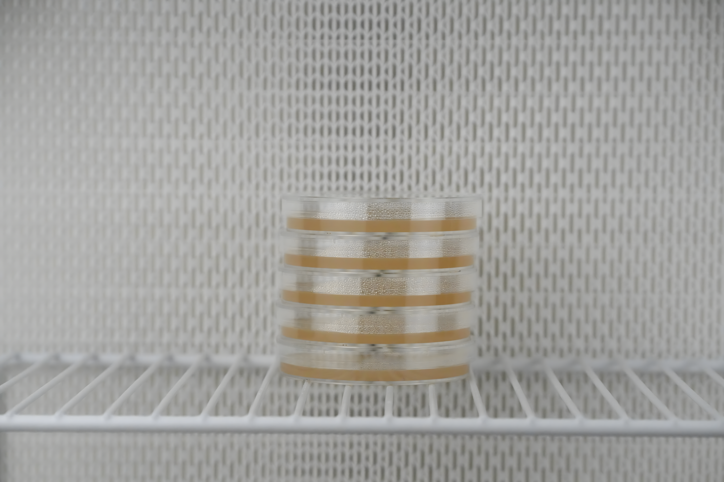 Pre-Poured Sterile LME Agar Plates