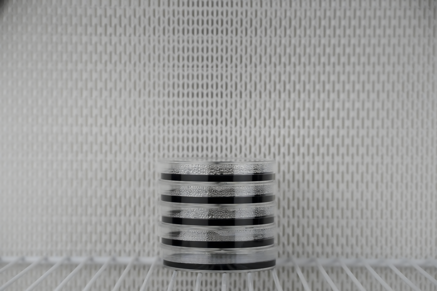 Pre-Poured Sterile Black LME Agar Plates