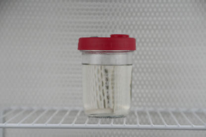 300ml Liquid Culture Base