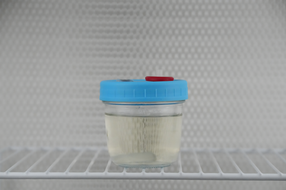 175ml Liquid Culture Base