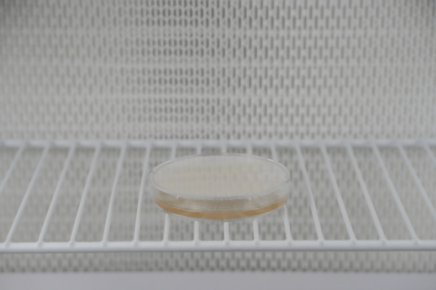 Pre-Poured Sterile LME Agar Plates