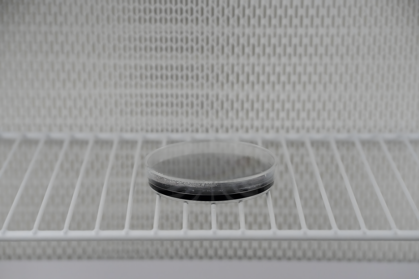 Pre-Poured Sterile Black LME Agar Plates