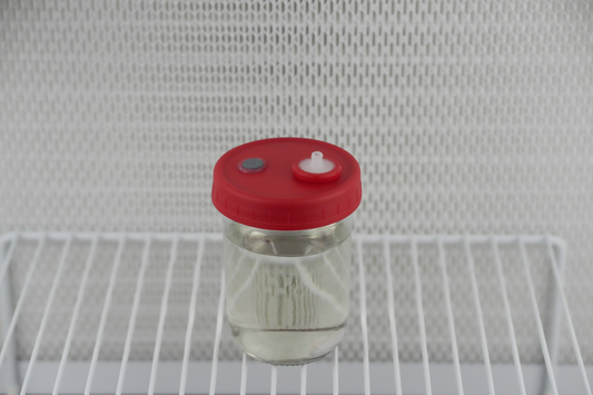 300ml Liquid Culture Base
