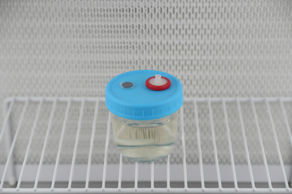 175ml Liquid Culture Base
