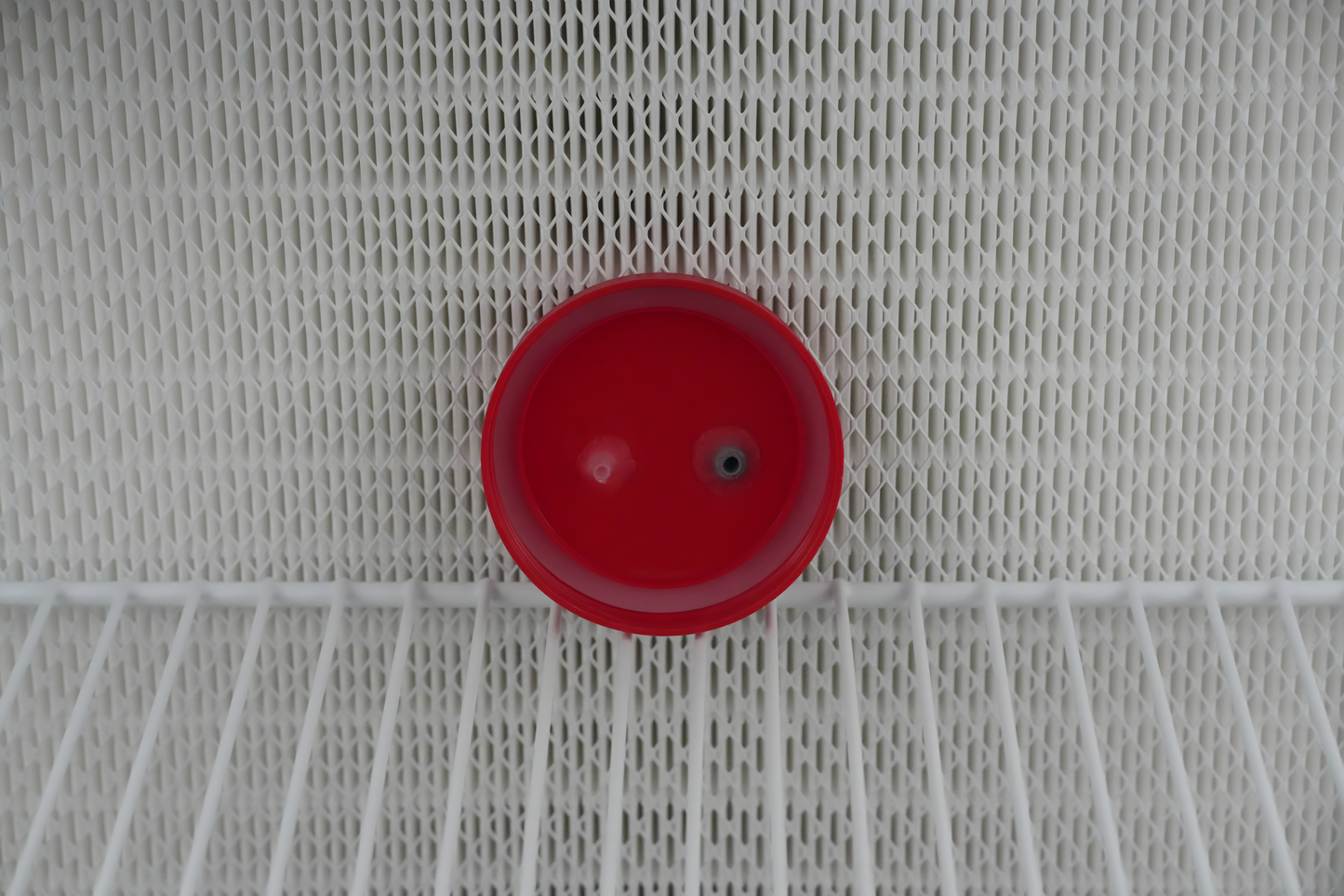 Modified Wide Mouth Mason Jar Lids (Plastic)