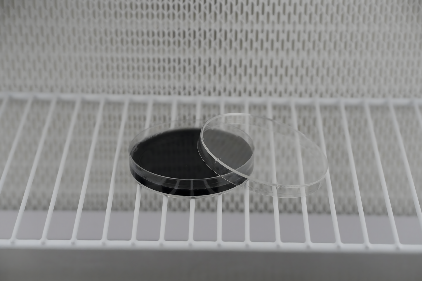Pre-Poured Sterile Black LME Agar Plates