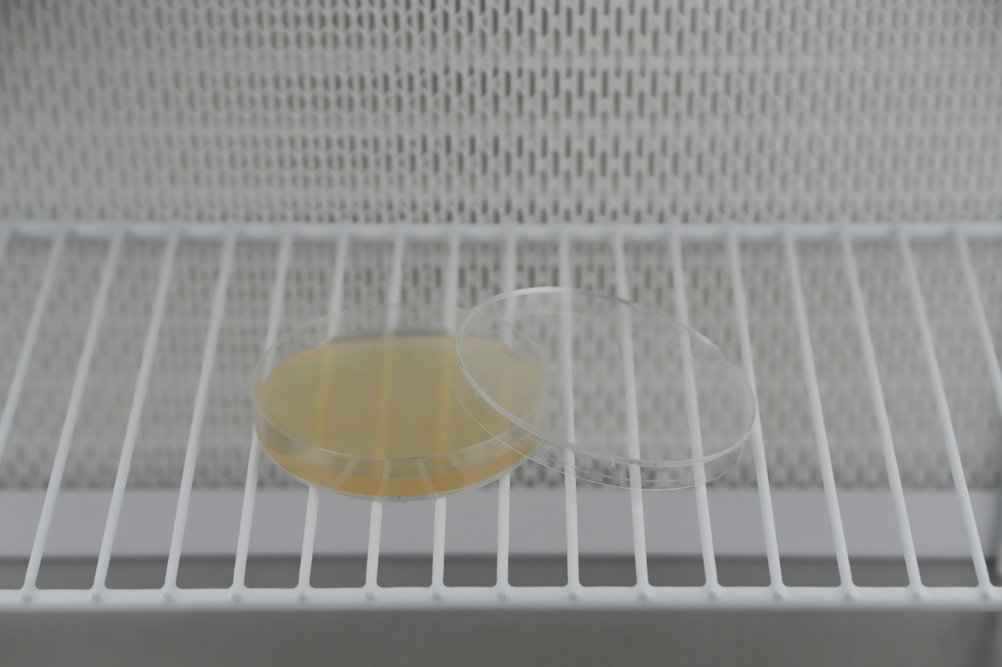 Pre-Poured Sterile LME Agar Plates